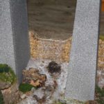 Das Wasser nimmt seinen Lauf