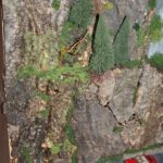 Beeindruckende Höhe