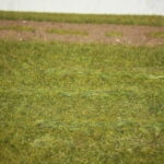 Gut sichtbar: die Schwaden